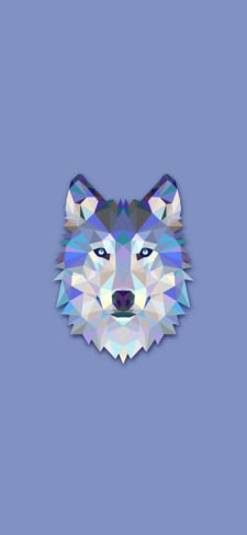 かっこいい狼のイラストのiPhone / スマホ壁紙