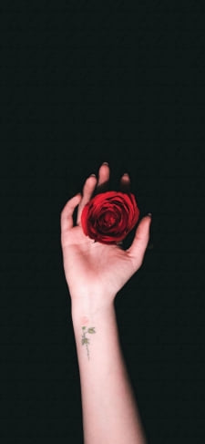 薔薇を持つ右手のiPhone / スマホ壁紙