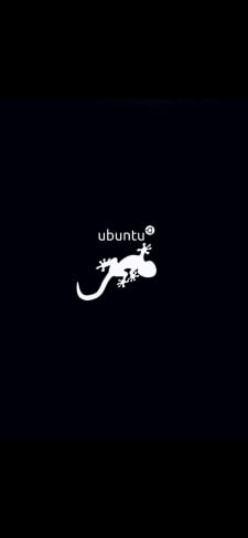 ubuntu トカゲのiPhone / スマホ壁紙