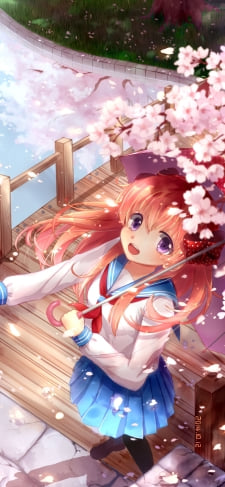 舞い散る桜の花びらに手をかざす佐倉千代 / 月刊少女野崎くんのiPhone / スマホ壁紙