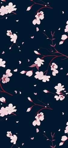 桜の花 / 青地 / イラストのiPhone / スマホ壁紙