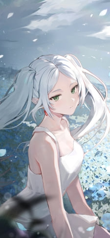 蒼月草の花畑に座る白いワンピースを着たフリーレン / 葬送のフリーレンのiPhone / スマホ壁紙