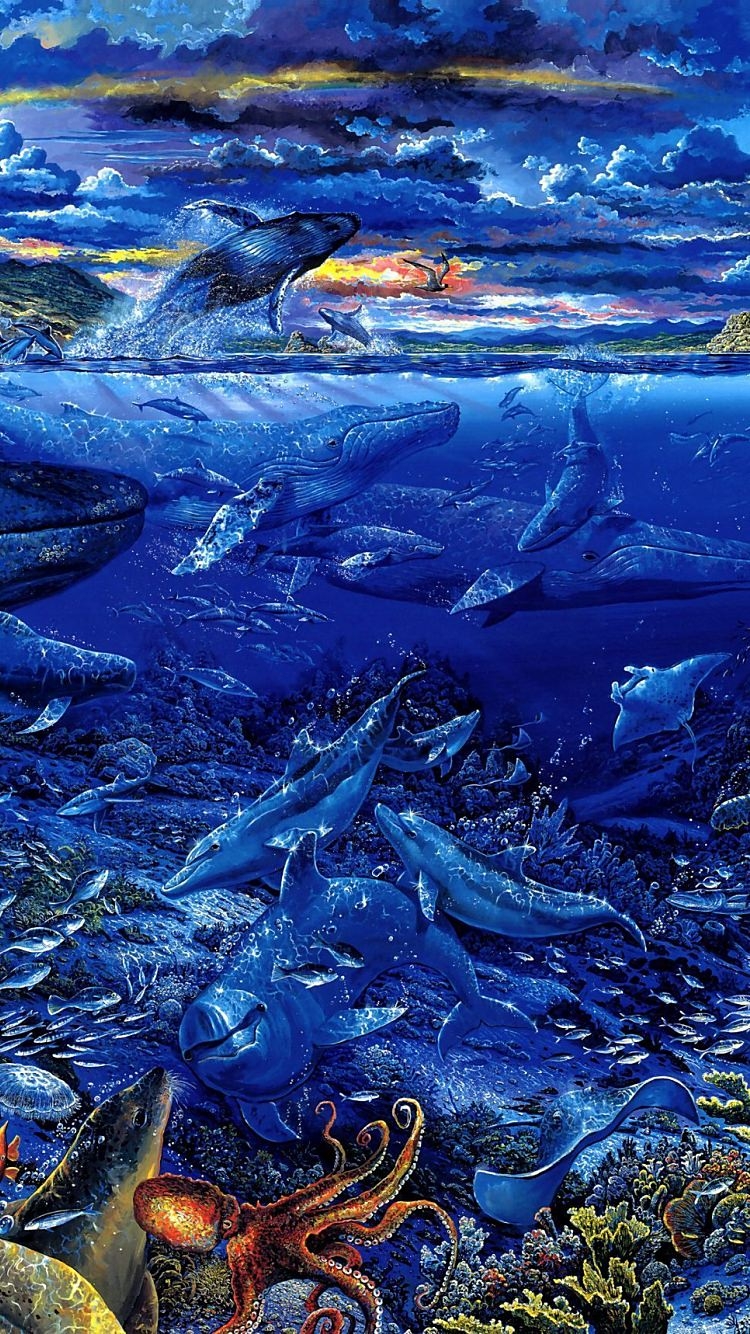 Wild Oceanの750 x 1334 / スマホ壁紙