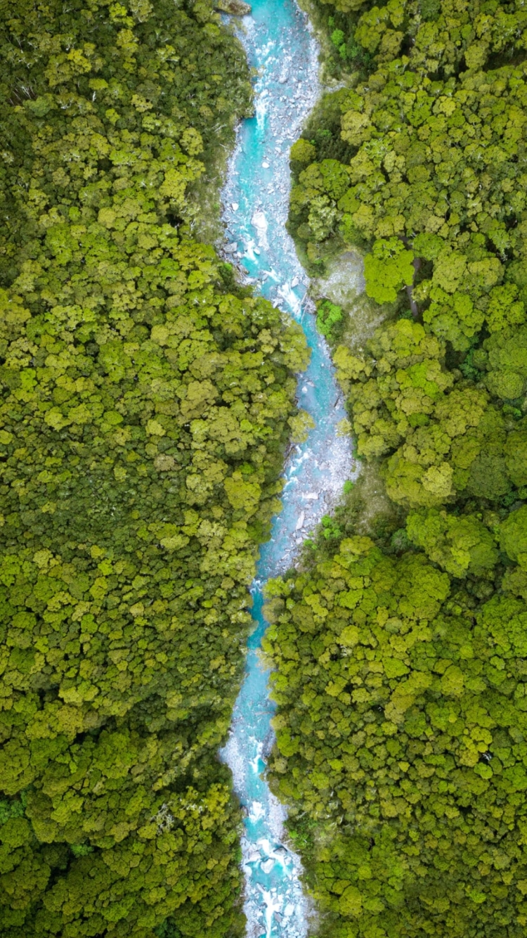 俯瞰視点 ジャングル 木々の流れる川の750 x 1334 / スマホ壁紙