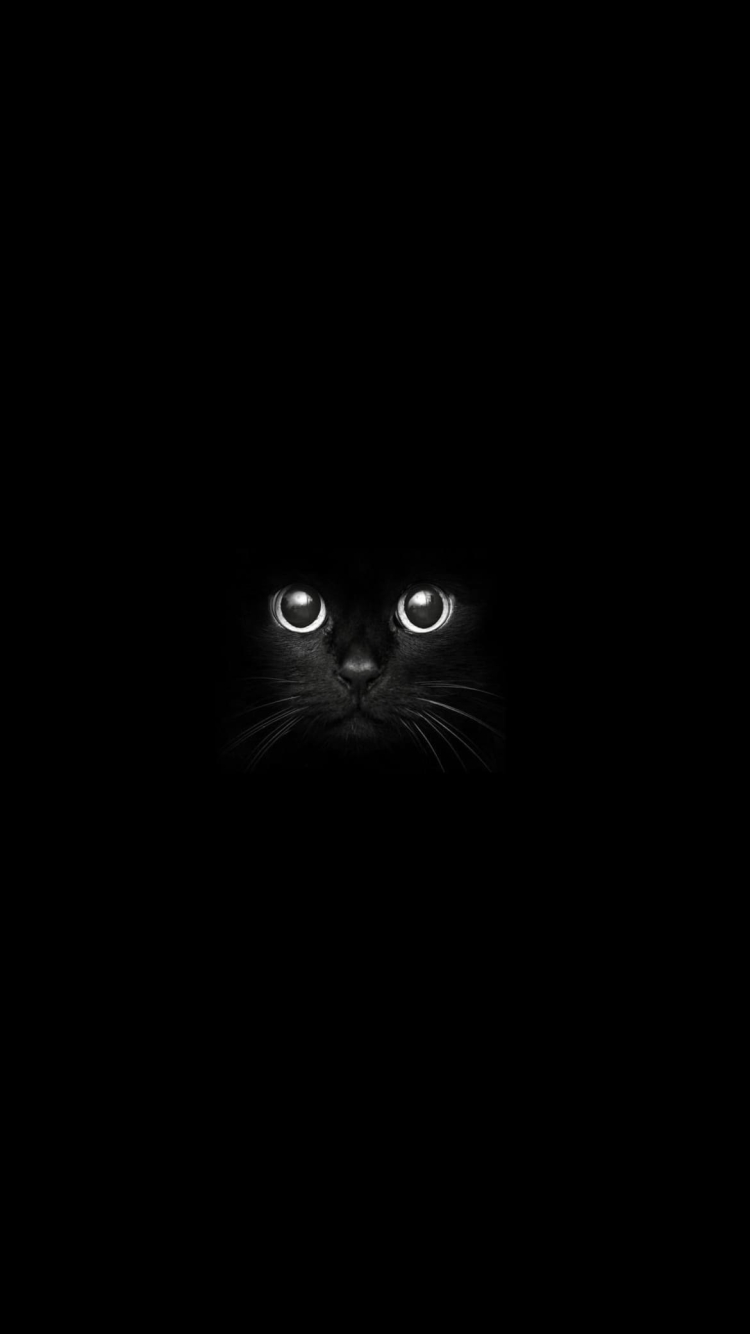 暗闇の中の黒猫の750 x 1334 / スマホ壁紙