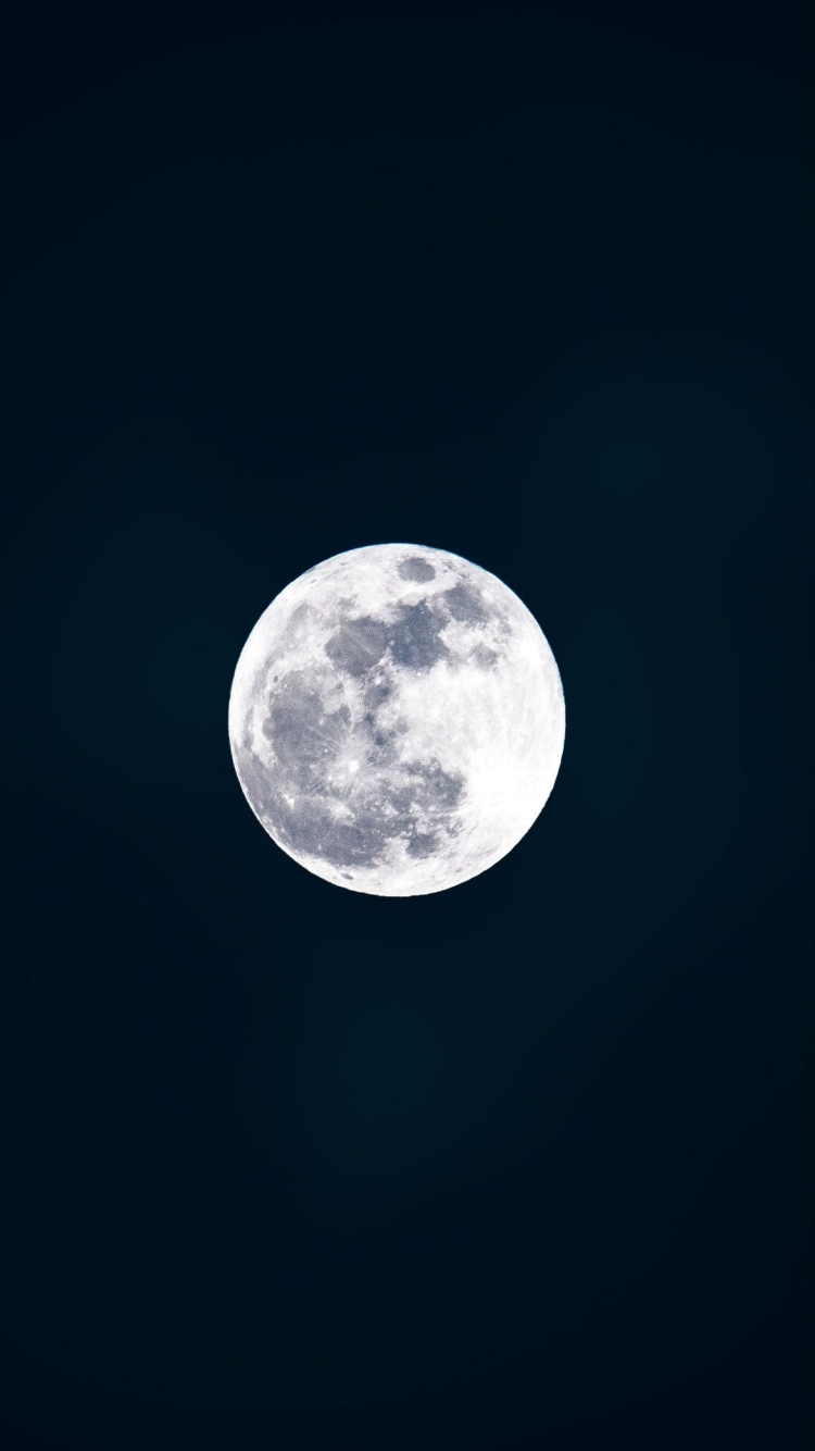 兎 満月 夜の750 x 1334 / スマホ壁紙
