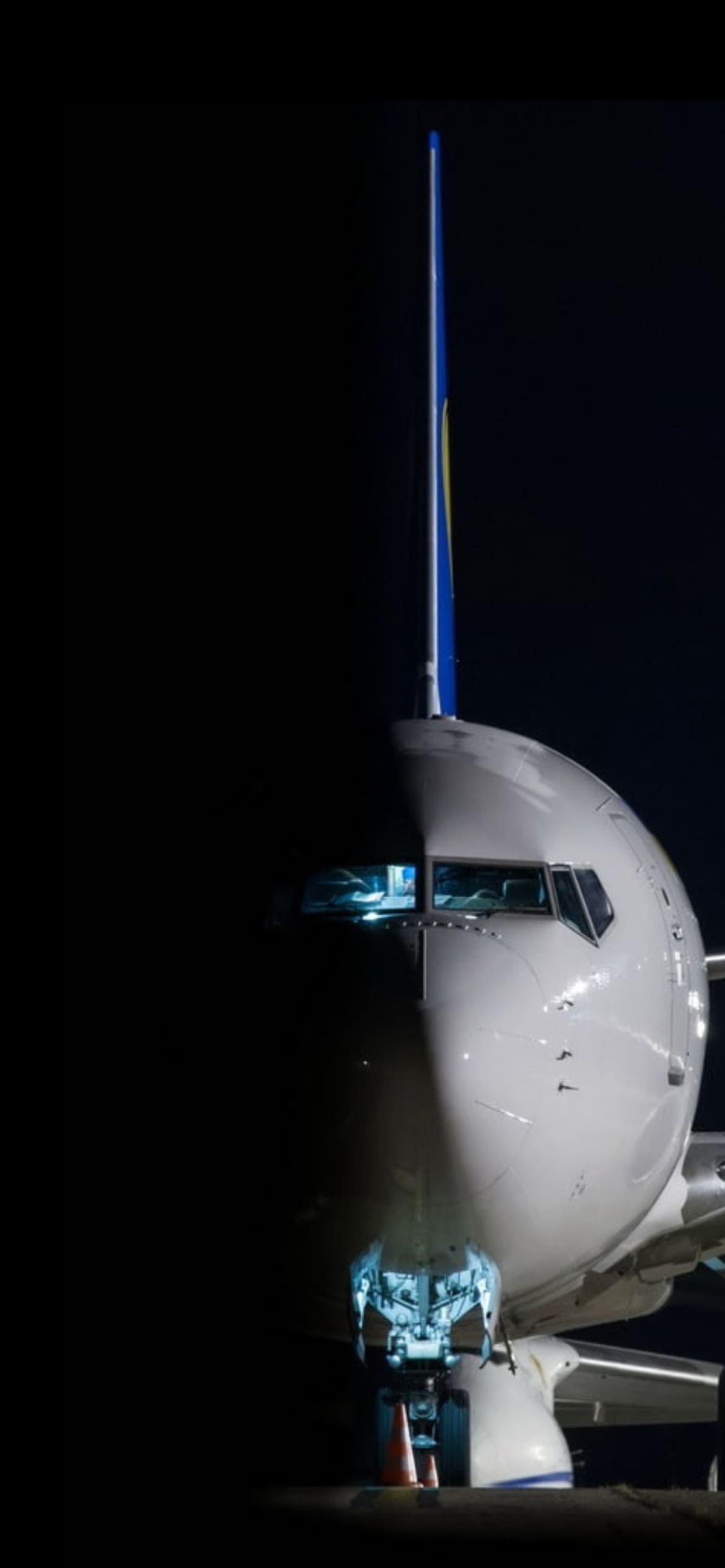 ウクライナ国際航空 ボーイング737の1170 x 2532 / スマホ壁紙