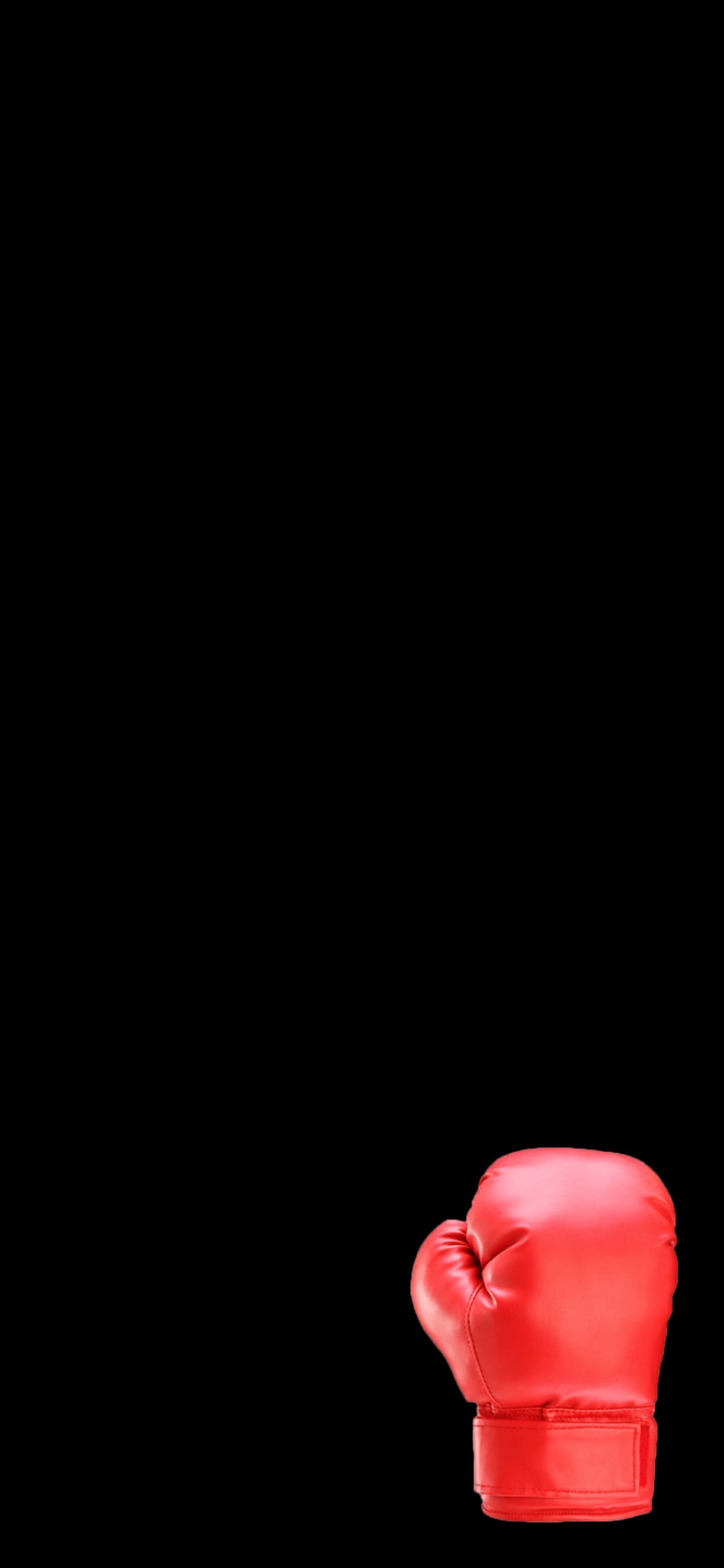 ボクシングの1170 x 2532 / スマホ壁紙