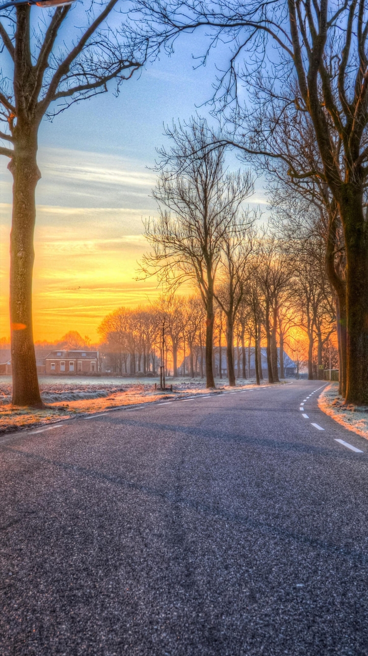冬 道路 夕焼け ロンドンの750 x 1334 / スマホ壁紙