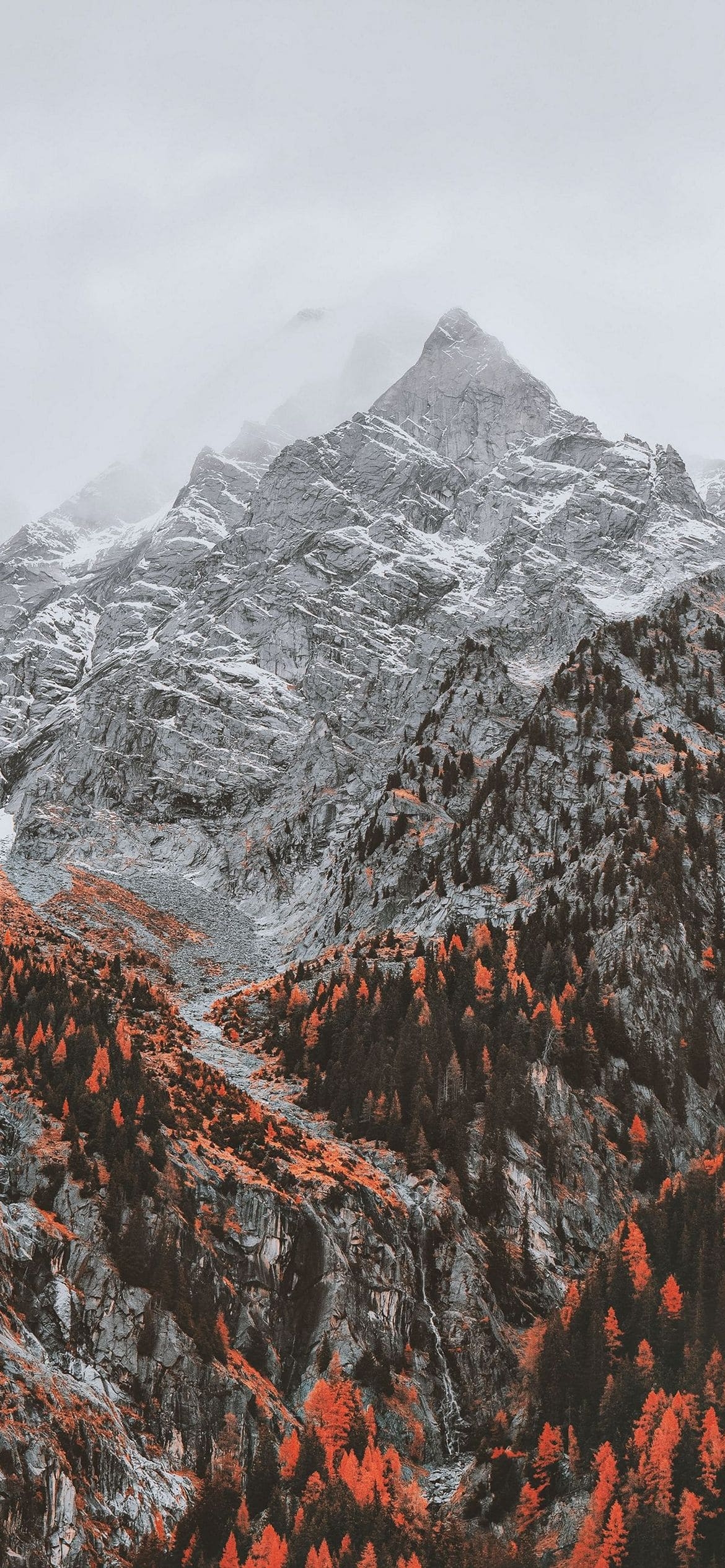 紅葉が残る雪山の1170 x 2532 / スマホ壁紙