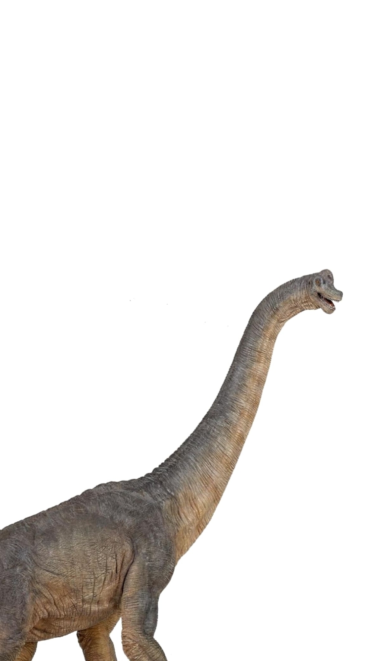ブラキオサウルスの750 x 1334 / スマホ壁紙