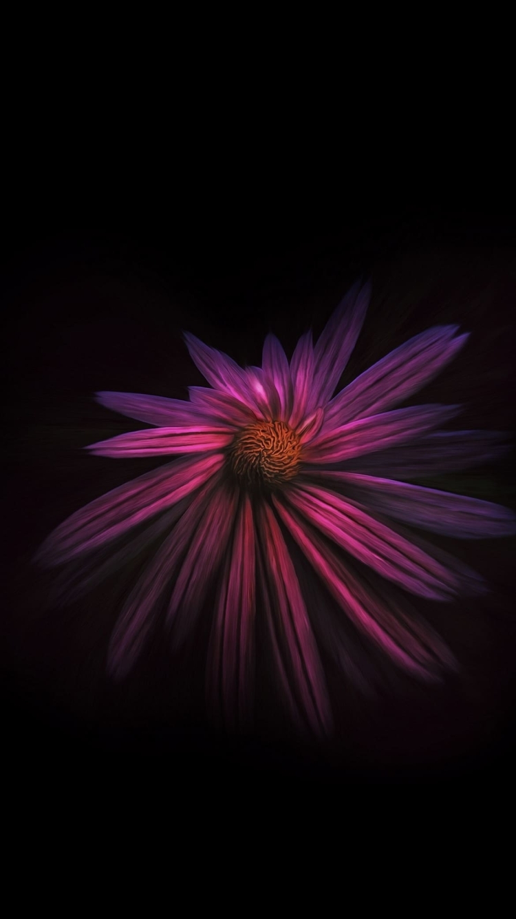 鮮やかなピンクの花の750 x 1334 / スマホ壁紙