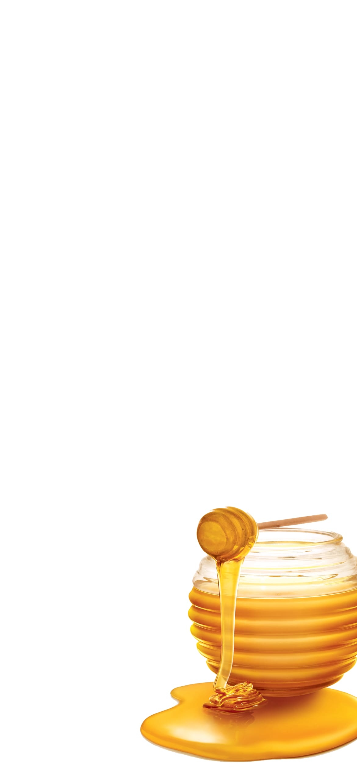 ハチミツの1170 x 2532 / スマホ壁紙