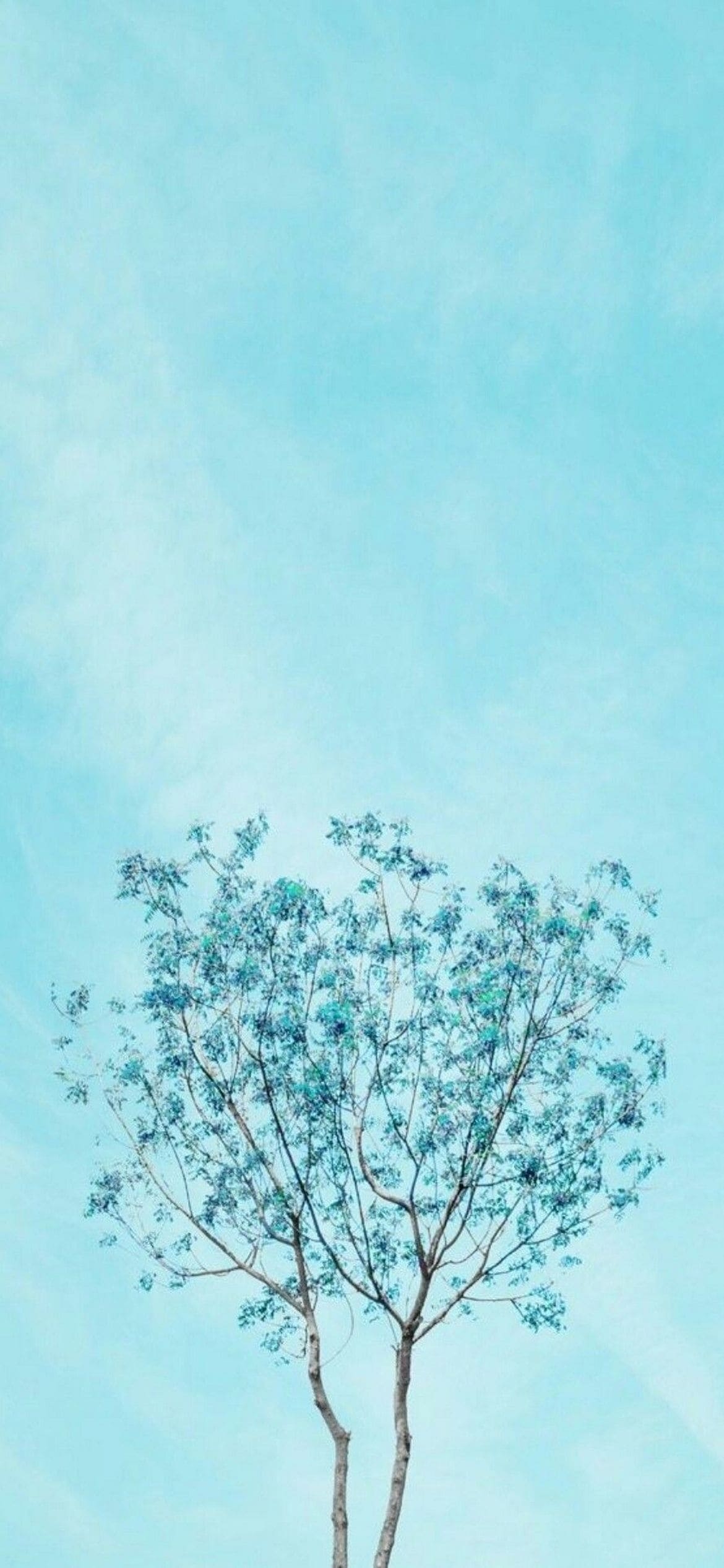 水色 可愛い草の1170 x 2532 / スマホ壁紙