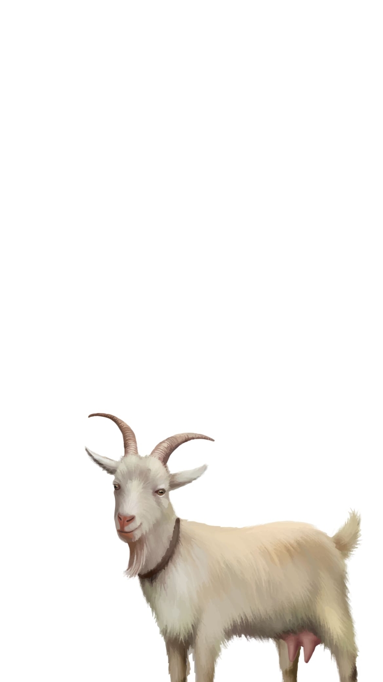 白い山羊の750 x 1334 / スマホ壁紙