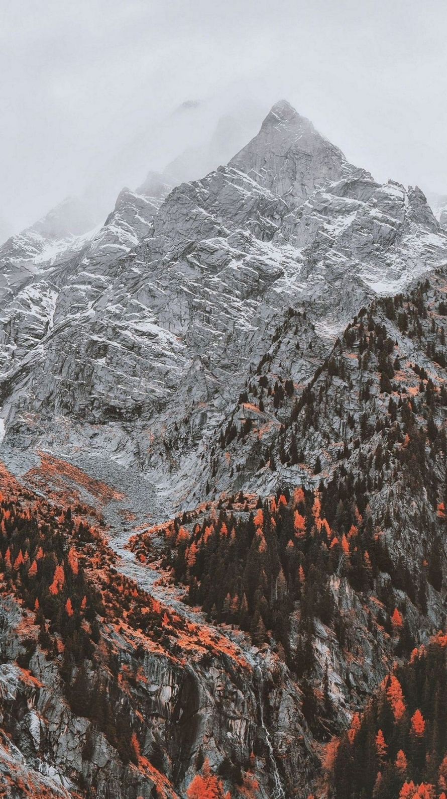 海外の紅葉とゴツゴツした雪山の890 x 1590 / スマホ壁紙