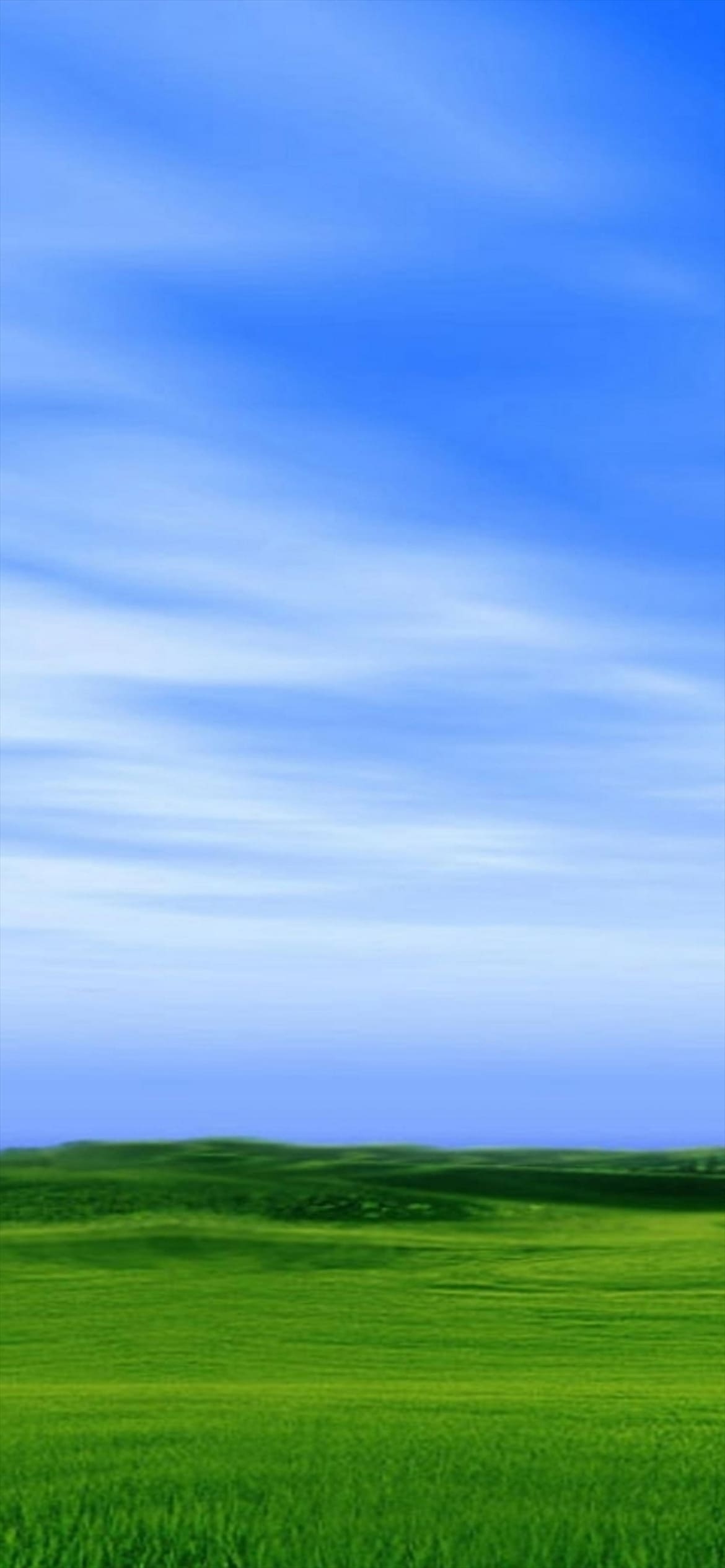 青空と緑の草原の1170 x 2532 / スマホ壁紙