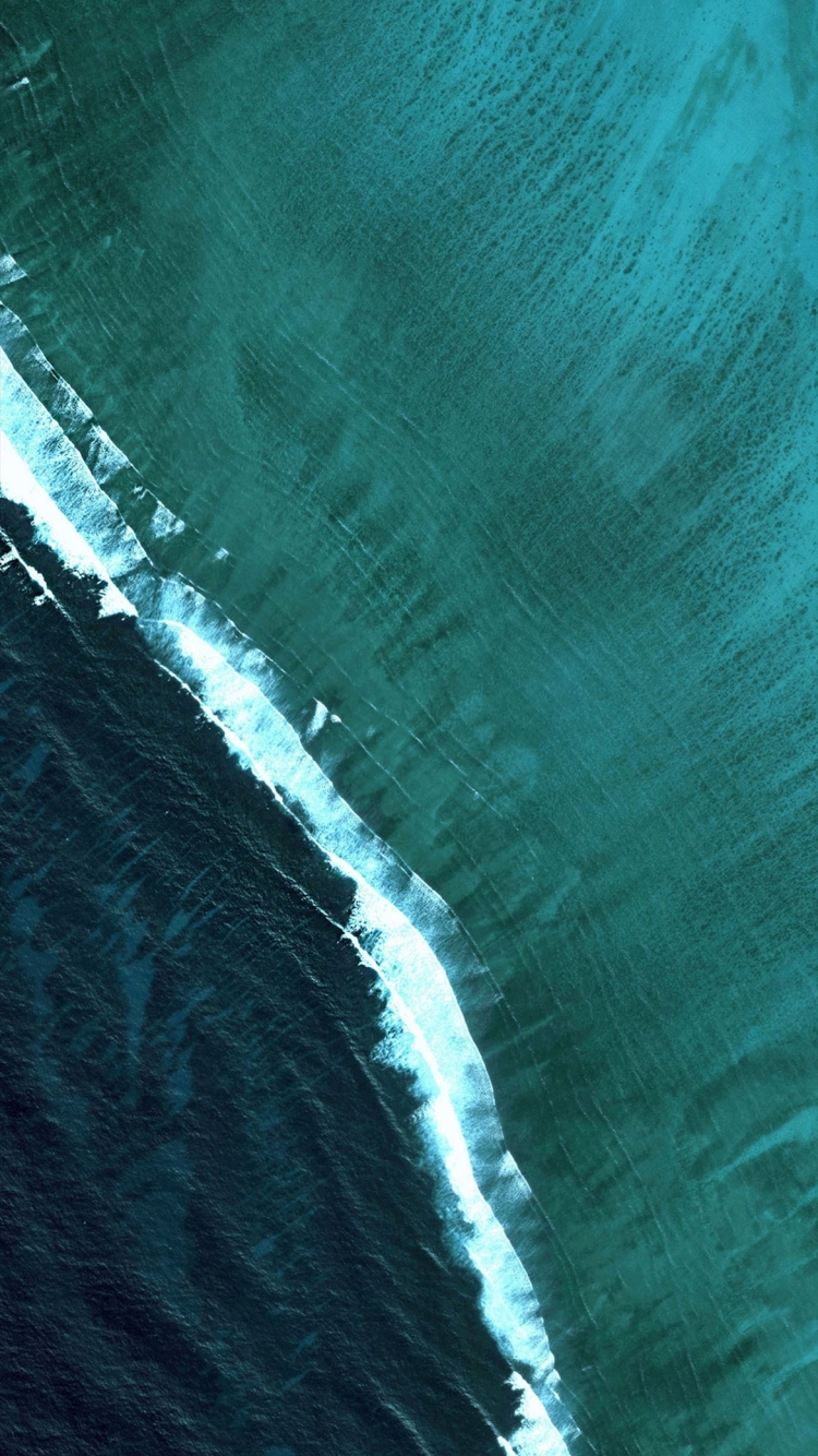画面いっぱいの緑の海の750 x 1334 / スマホ壁紙