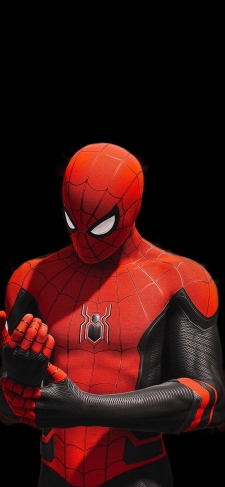 手を触るスパイダーマンの225 x 487 / スマホ壁紙