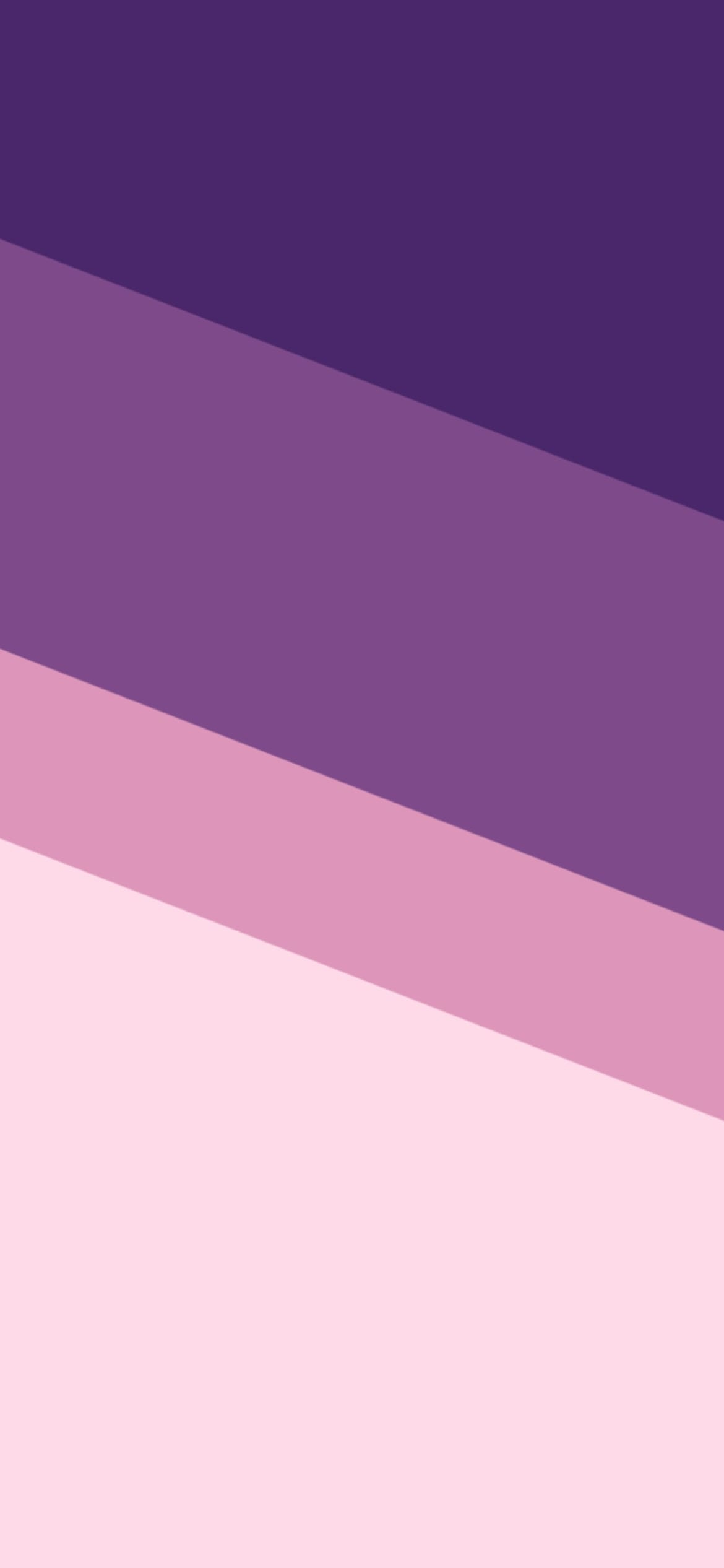 Ttxml Wfpv8zkm