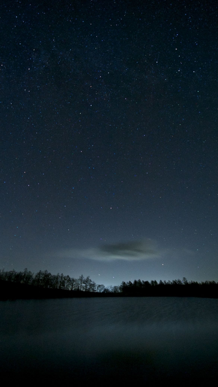 銀河と森の750 x 1334 / スマホ壁紙