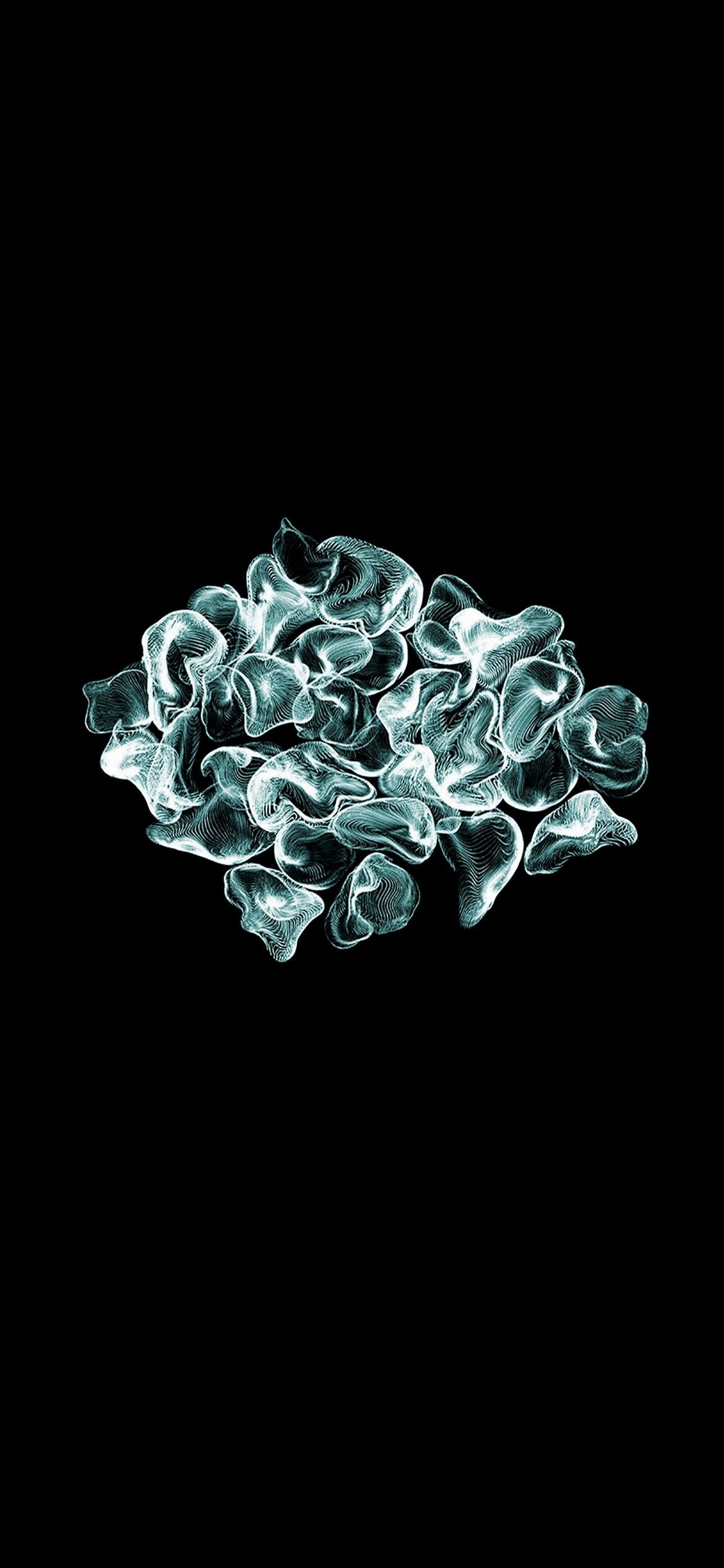 沢山のクラゲの1170 x 2532 / スマホ壁紙