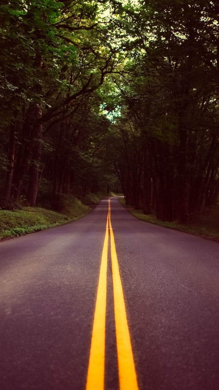 緑の森の中の黒い道路の750 x 1334 / スマホ壁紙