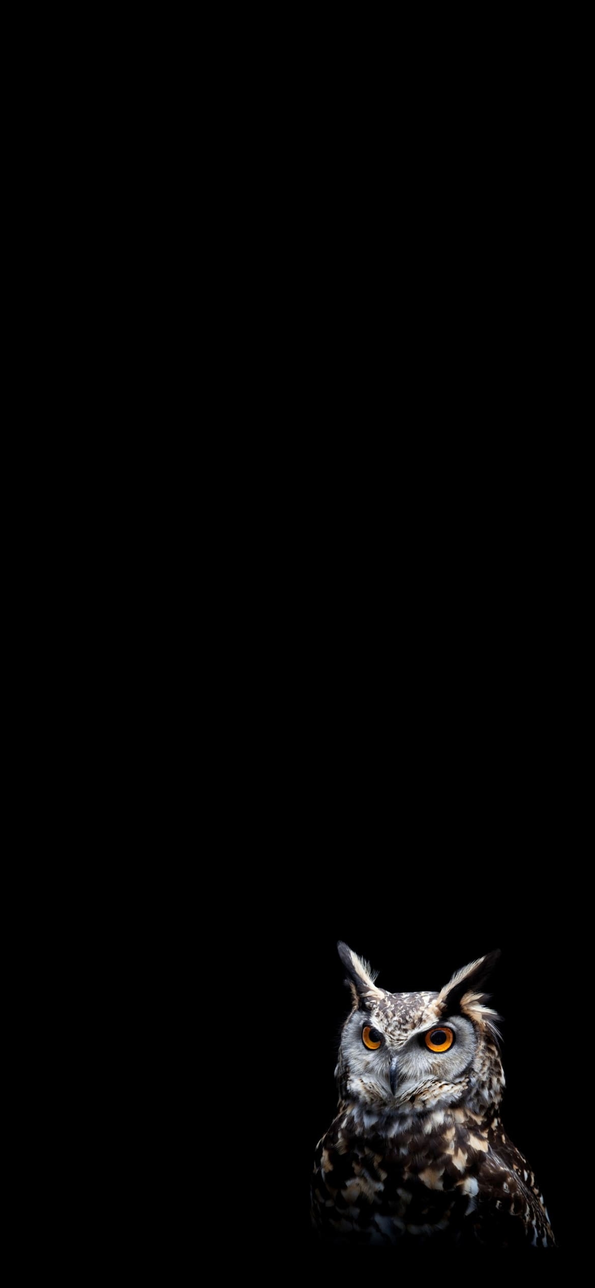 かっこいいフクロウの1170 x 2532 / スマホ壁紙