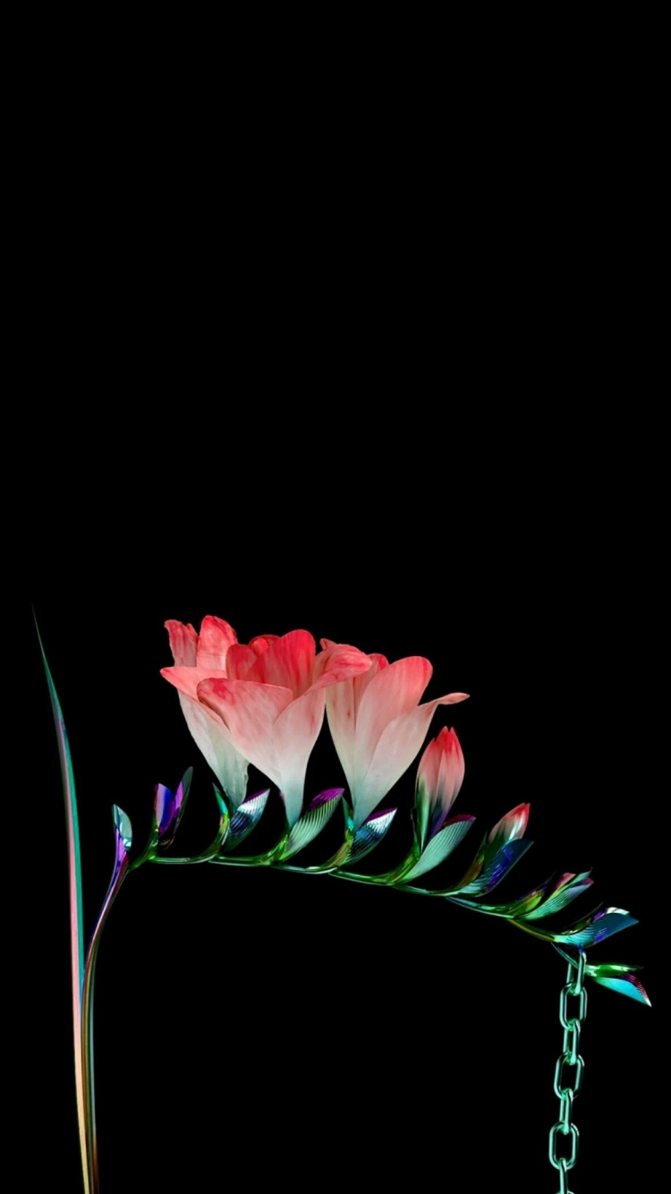 綺麗な花と鎖の750 x 1334 / スマホ壁紙