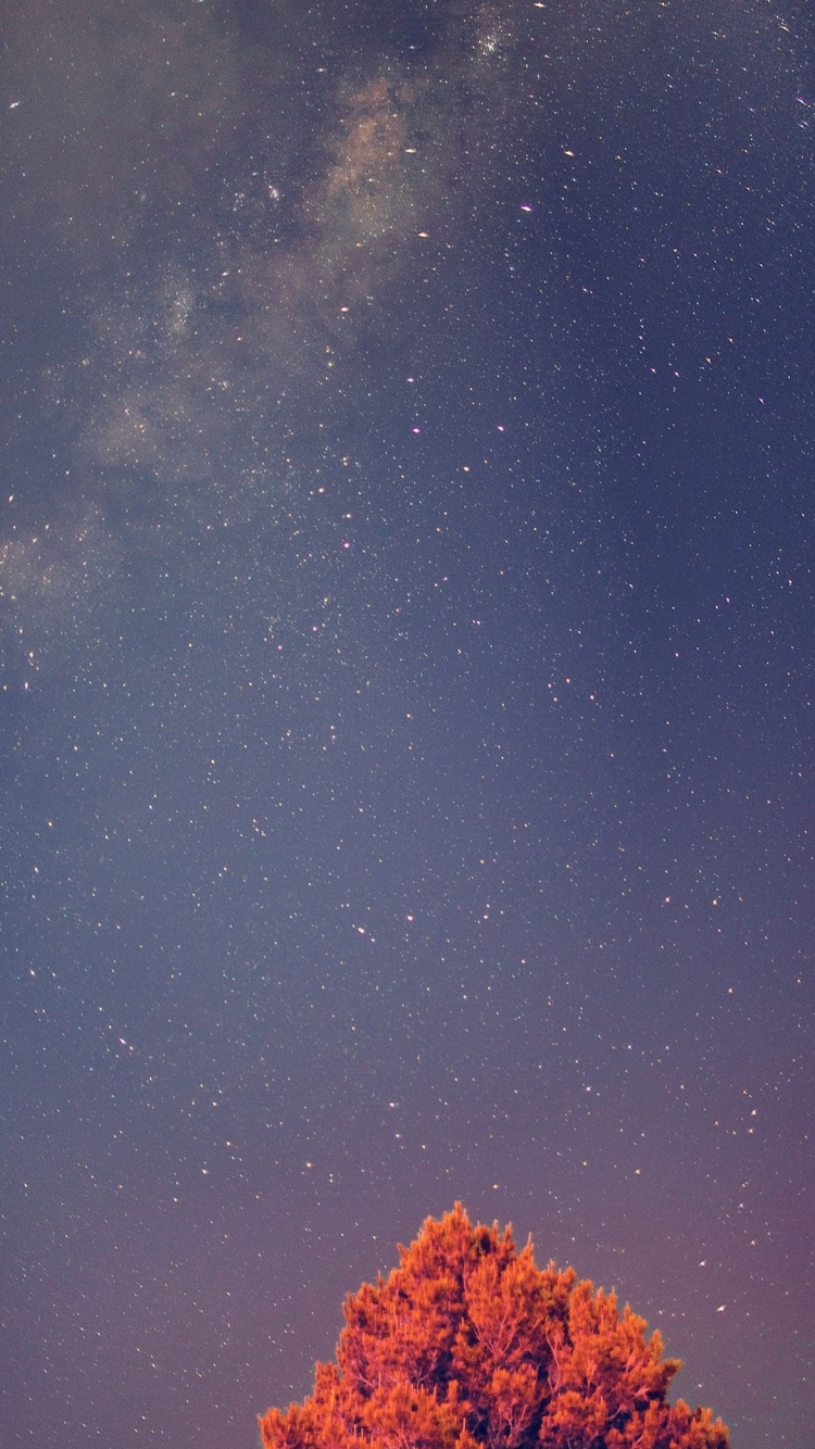 綺麗な星空と赤い木の750 x 1334 / スマホ壁紙