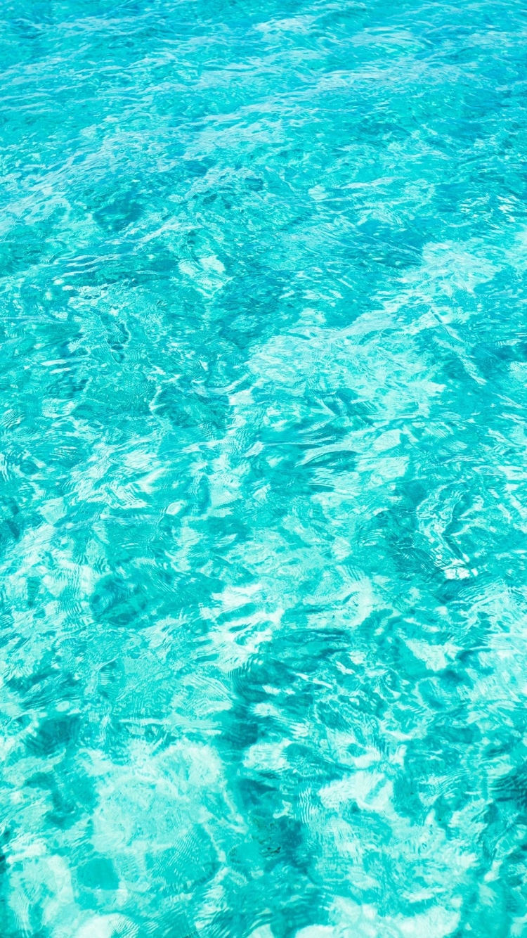 綺麗なプールの水の750 x 1334 / スマホ壁紙