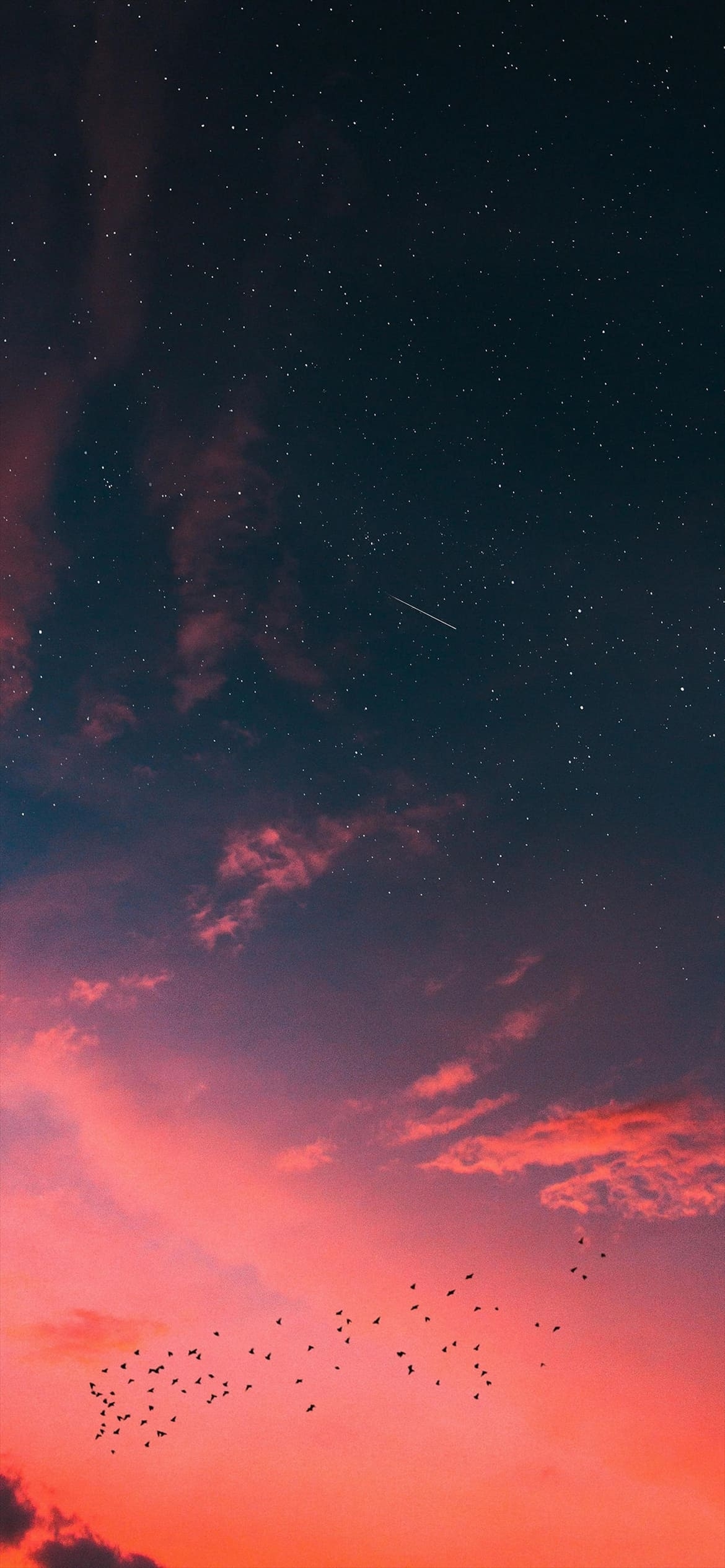 赤茶色の星空 小さな鳥の群れの1170 x 2532 / スマホ壁紙