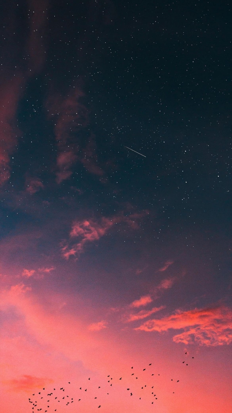 赤茶色の星空 小さな鳥の群れの750 x 1334 / スマホ壁紙