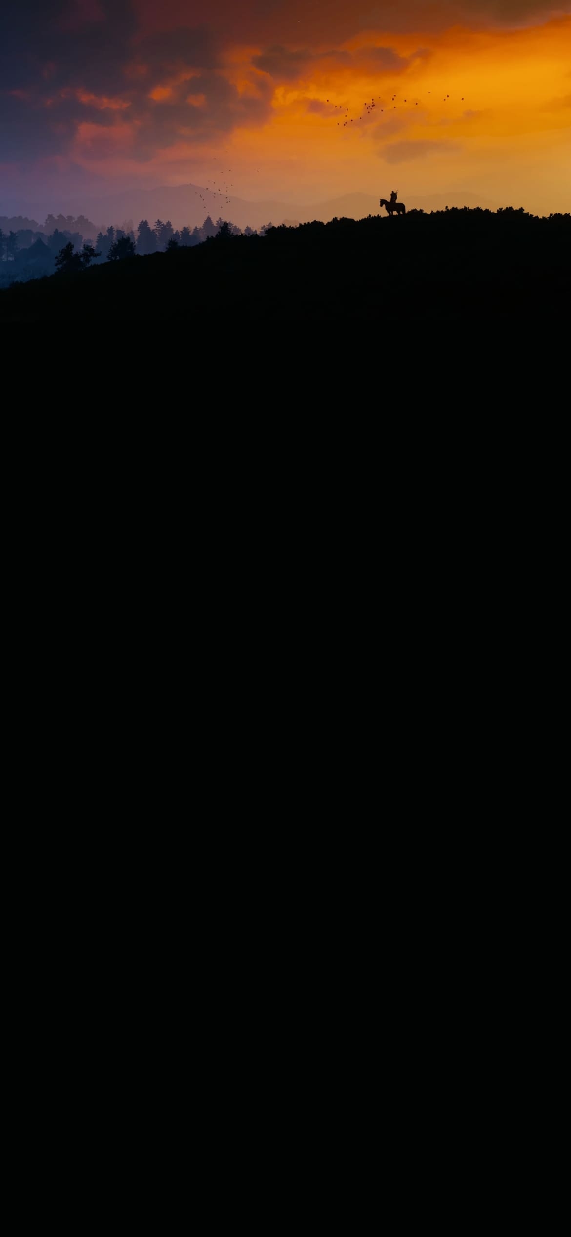 夕陽 山頂から麓を見下ろす戦士 渡り鳥 綺麗 かっこいいの1170 x 2532 / スマホ壁紙