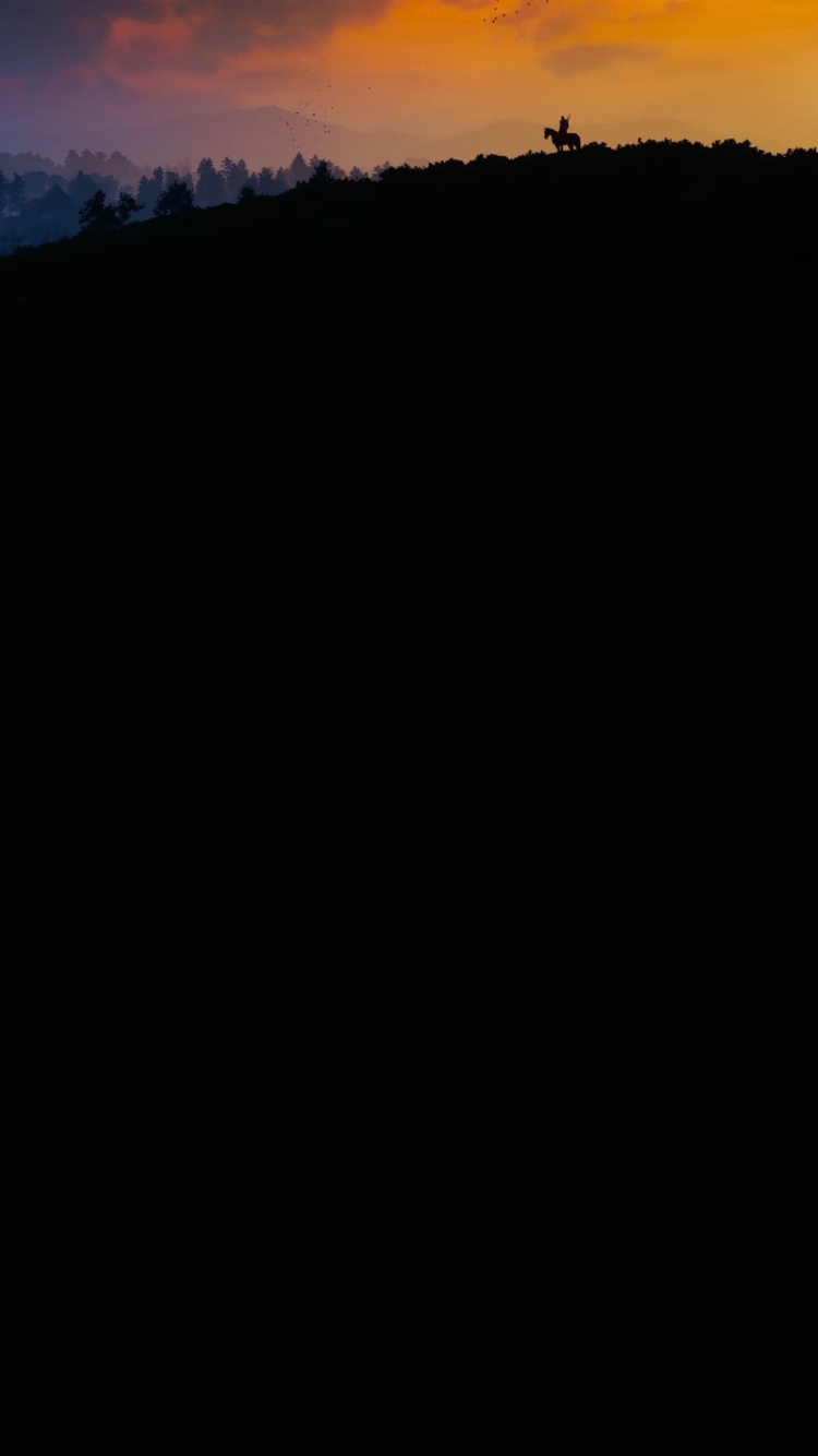 夕陽 山頂から麓を見下ろす戦士 渡り鳥 綺麗 かっこいいの750 x 1334 / スマホ壁紙