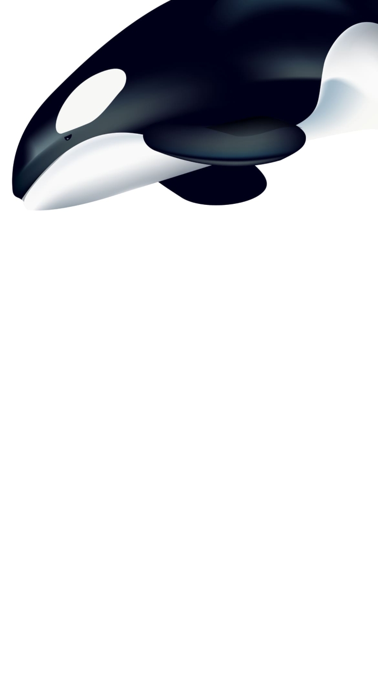 シャチの750 x 1334 / スマホ壁紙