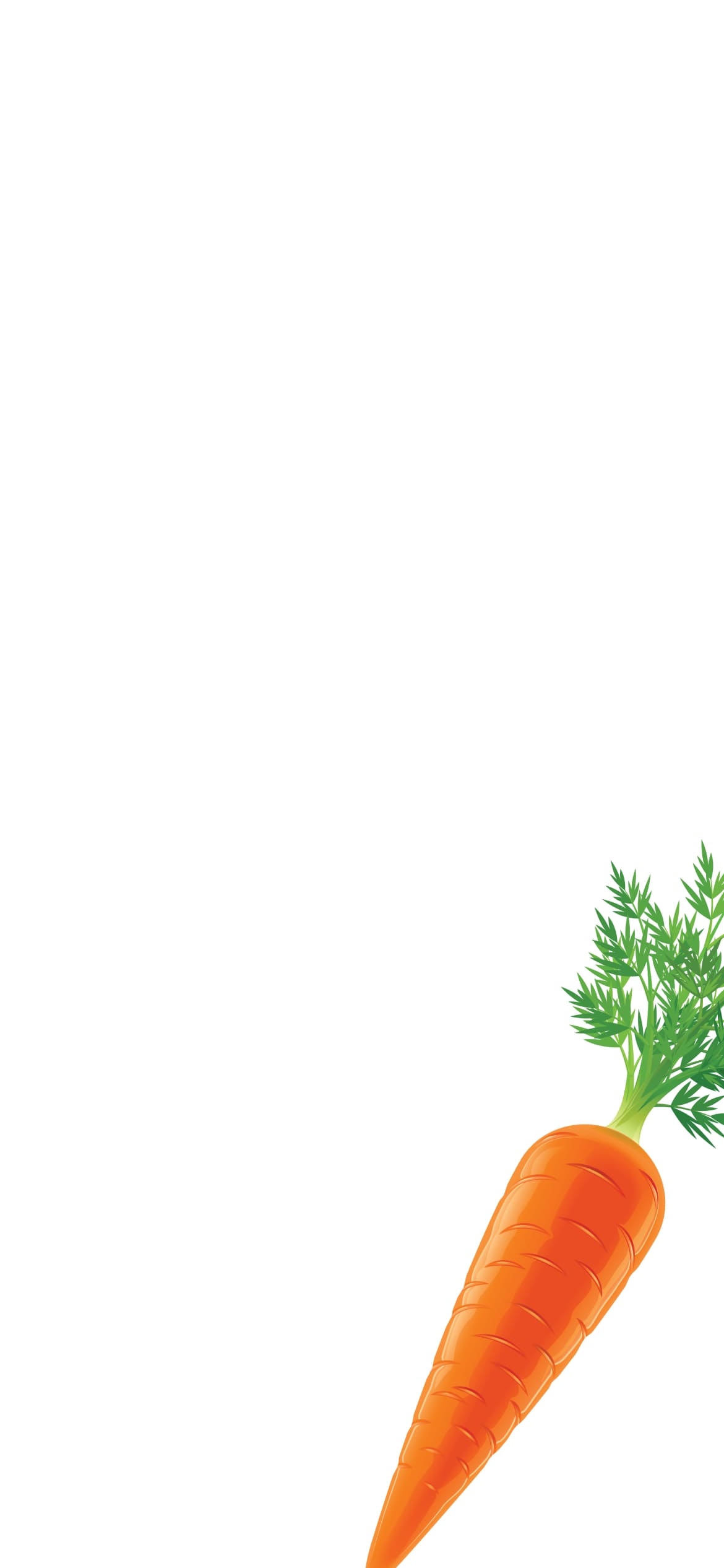 人参の1170 x 2532 / スマホ壁紙