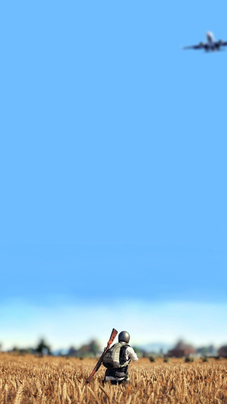 PUBG リアリスティックの750 x 1333 / スマホ壁紙