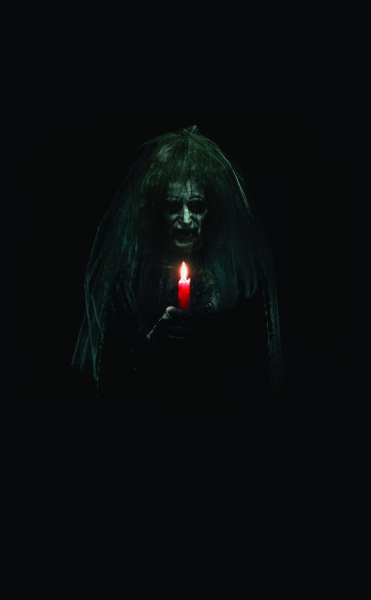 インシディアス / Insidious / ホラー映画の740 x 1196 / スマホ壁紙
