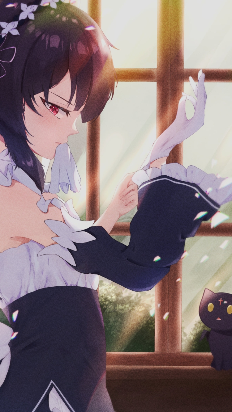 白い手袋をはめるめぐみんとちょむすけ / この素晴らしい世界に祝福を!の750 x 1334 / スマホ壁紙