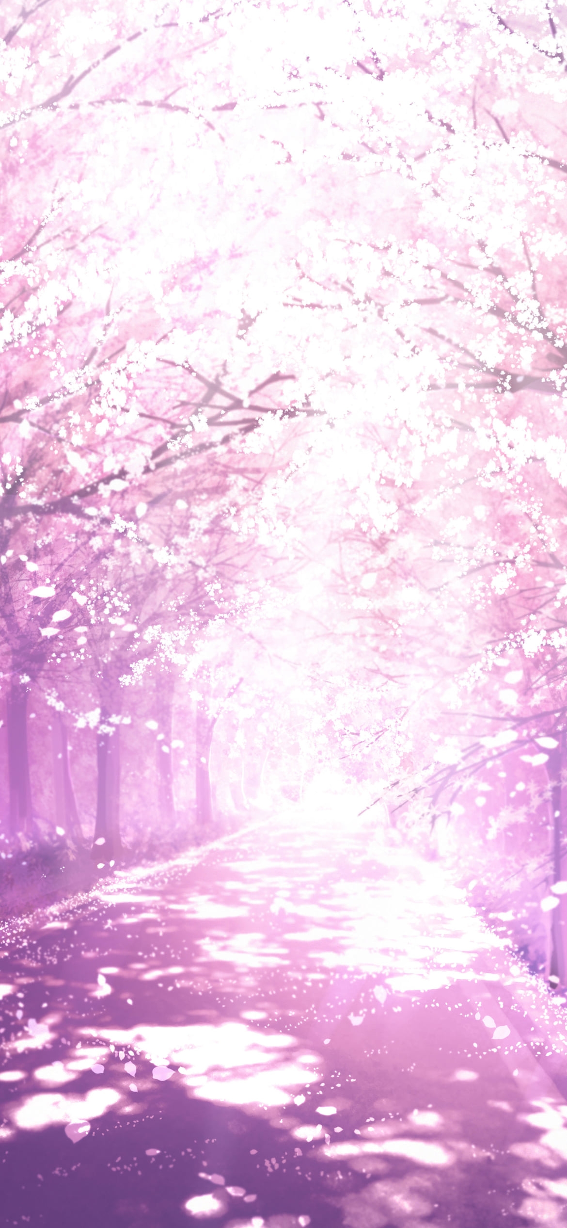 綺麗な桜の並木道 / イラスト / 木漏れ日の1170 x 2532 / スマホ壁紙