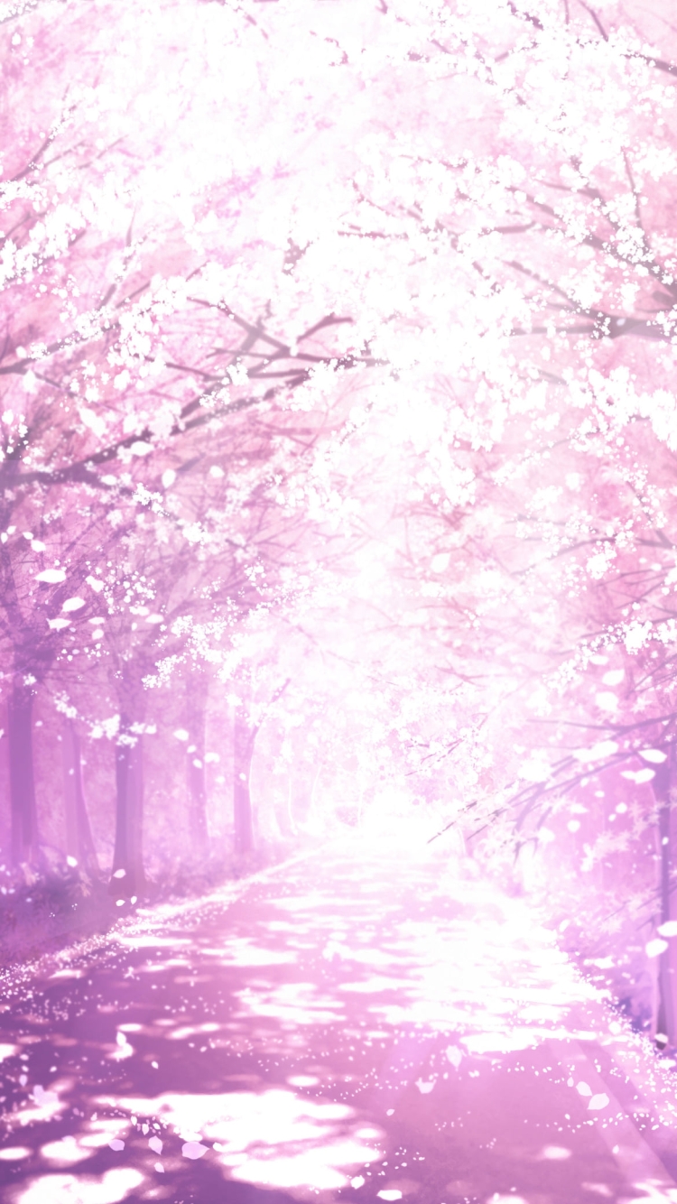 綺麗な桜の並木道 / イラスト / 木漏れ日の750 x 1334 / スマホ壁紙
