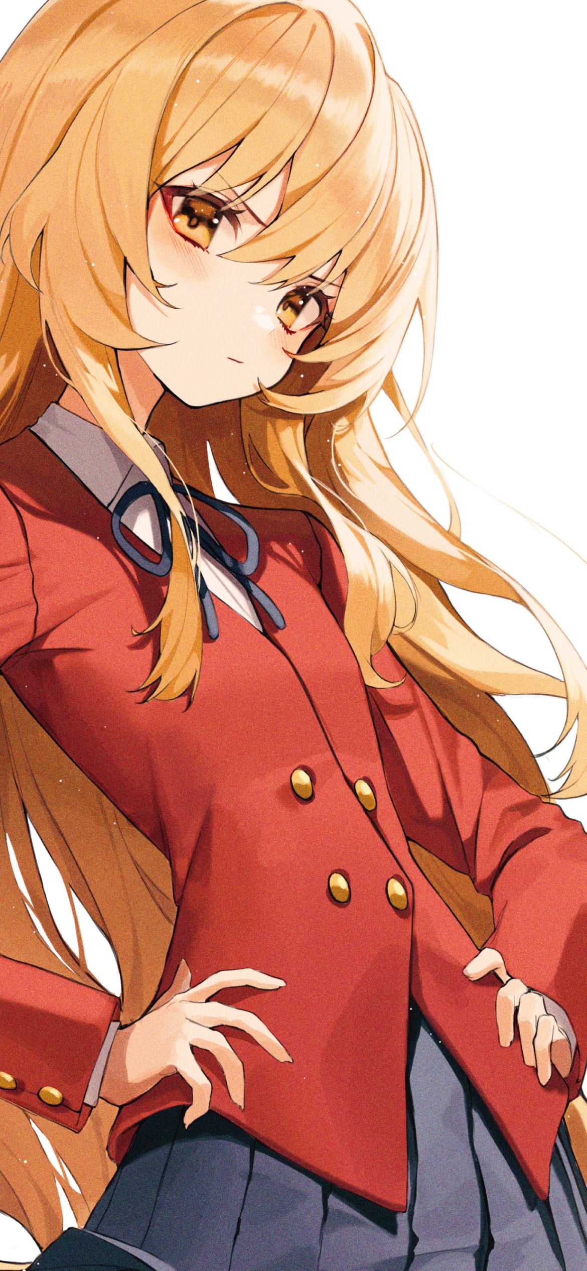 腰に手をあててこちらを見つめる逢坂大河 / とらドラ！の1170 x 2532 / スマホ壁紙