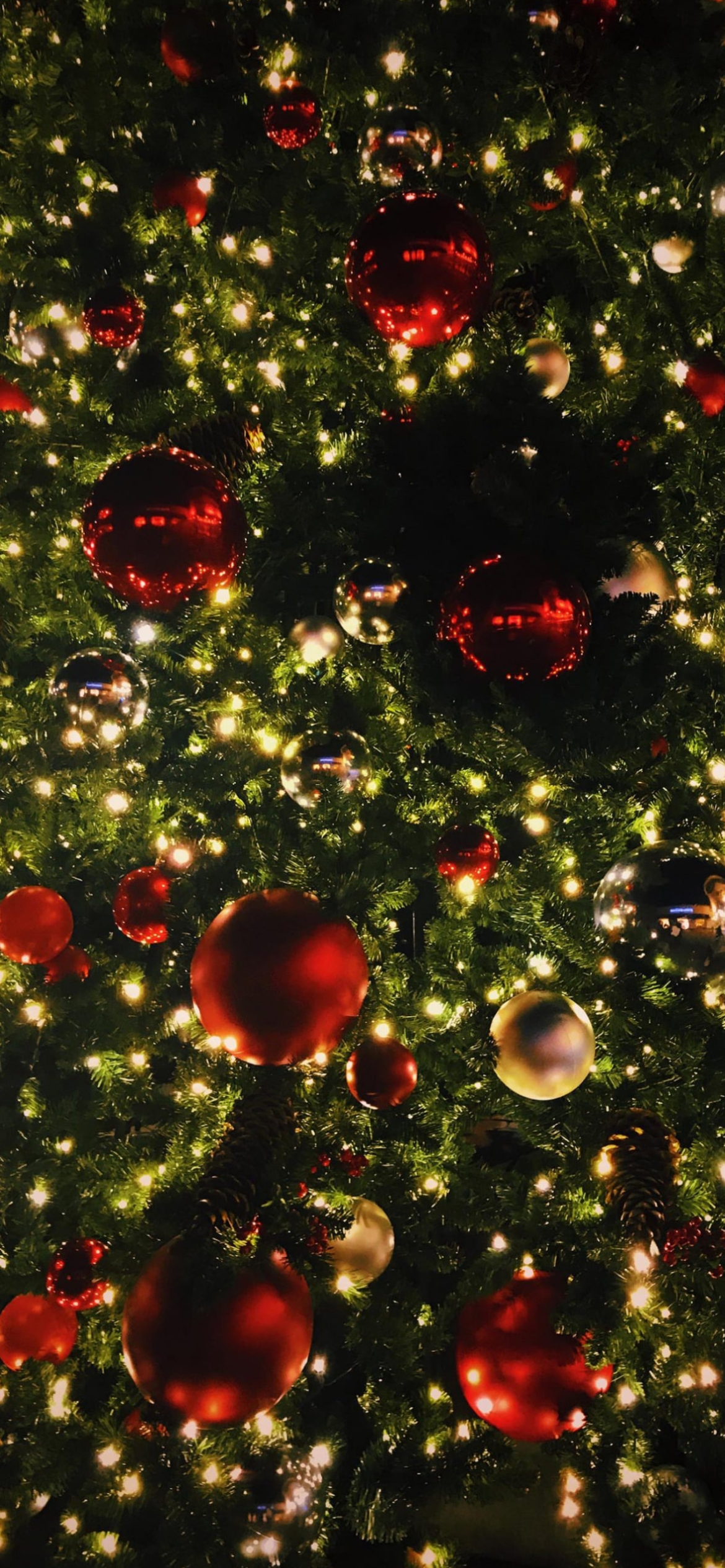 画面いっぱいのクリスマスツリー / オーナメントの1170 x 2532 / スマホ壁紙