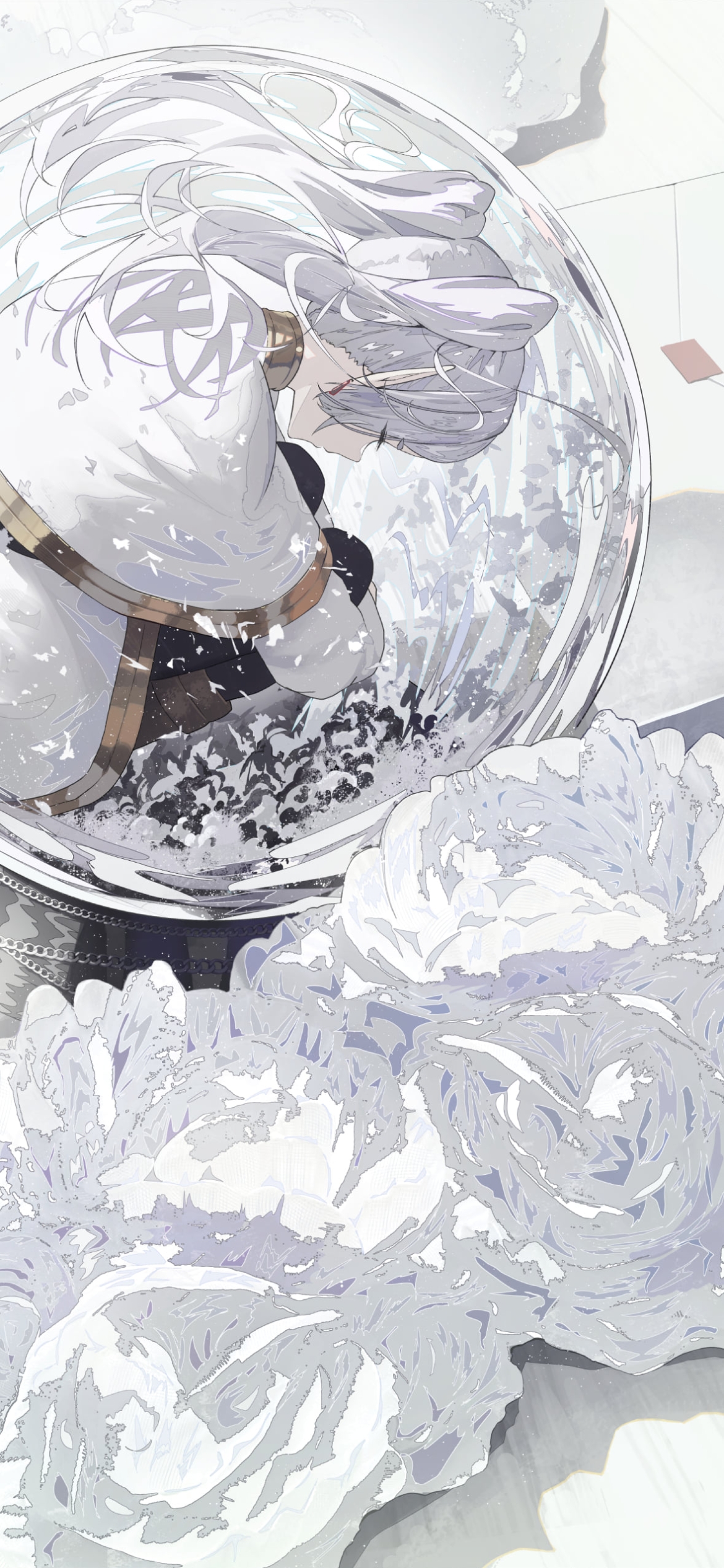 透明のクリスタルに入って眠るフリーレン / 葬送のフリーレンの1170 x 2532 / スマホ壁紙