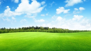 綺麗な草原・森林・青空のデスクトップPC用の壁紙