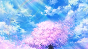 虹がかかる青空と桜のデスクトップPC用の壁紙