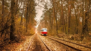 ウクライナ 秋の紅葉 電車のデスクトップPC用の壁紙