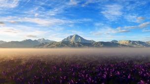 山脈と紫の花畑のデスクトップPC用の壁紙