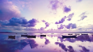 紫の湖に浮かぶ沢山の手漕ぎボートのデスクトップPC用の壁紙